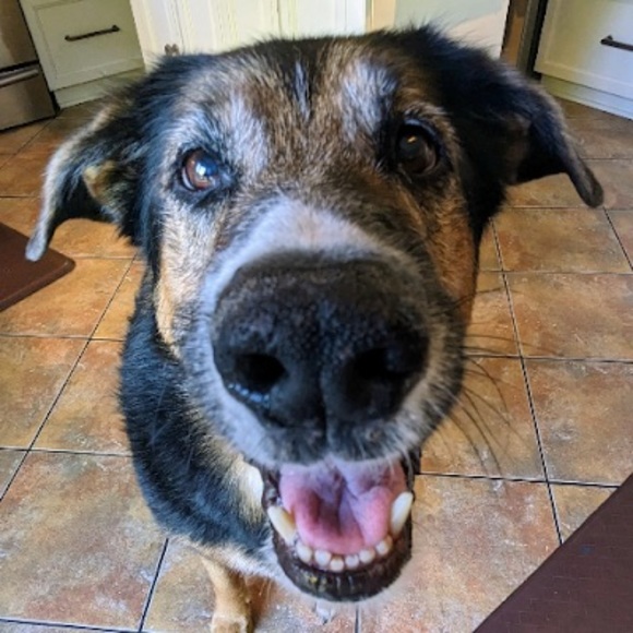 Meet your Posher, E f h - Picture 1 of 1